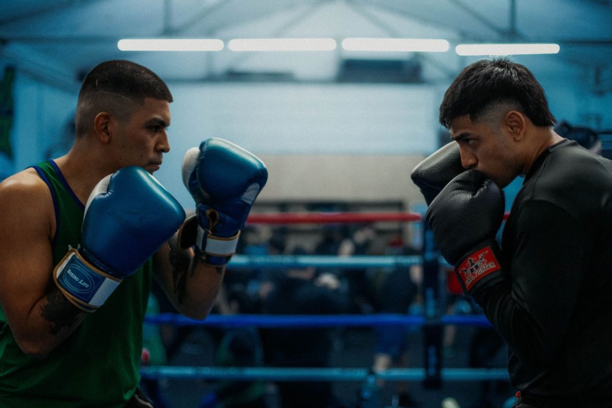 Avis sur les gants Cleto Reyes pour entraînement et sparring