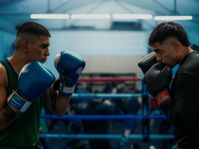 Avis sur les gants Cleto Reyes pour entraînement et sparring