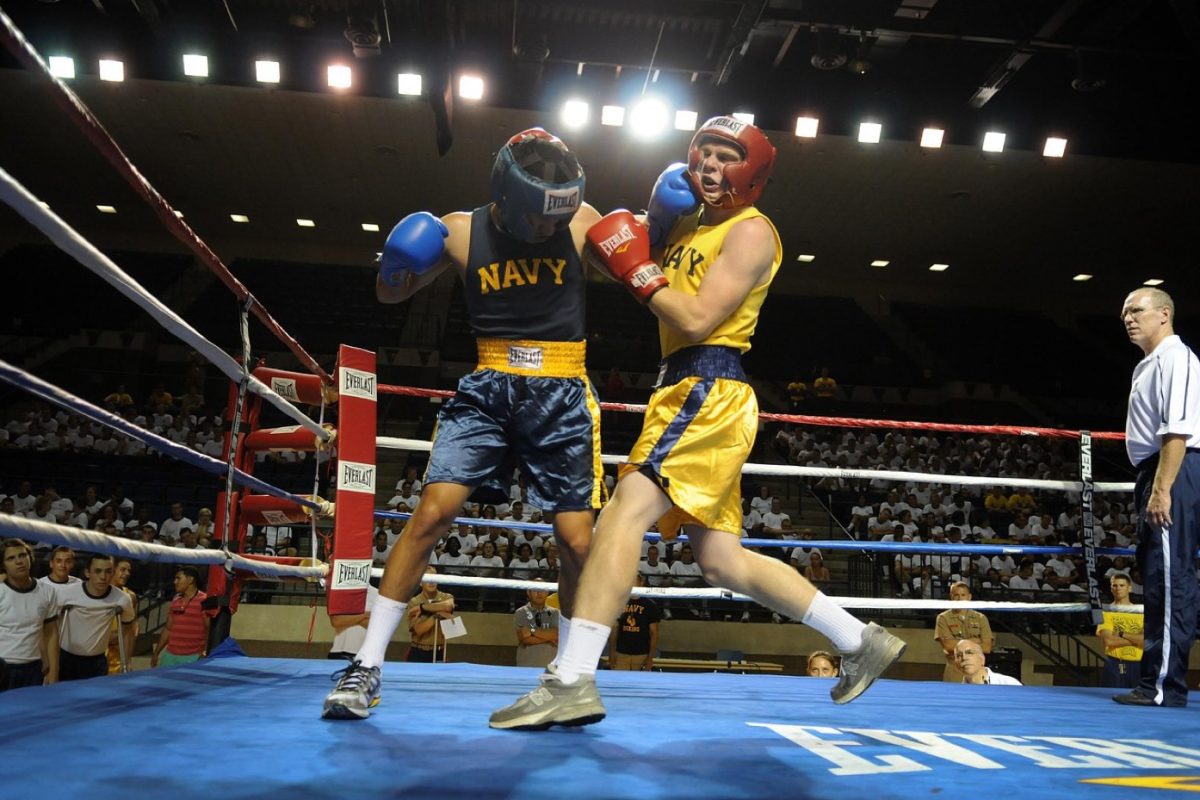 Cleto Reyes ou Everlast : quel gant choisir selon l'usage