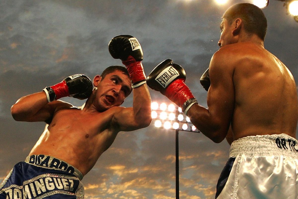 Comparatif des meilleurs gants MMA pour sparring