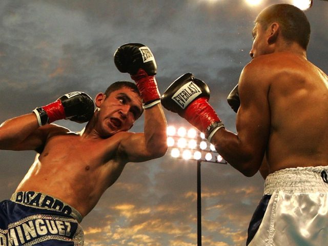 Comparatif des meilleurs gants MMA pour sparring