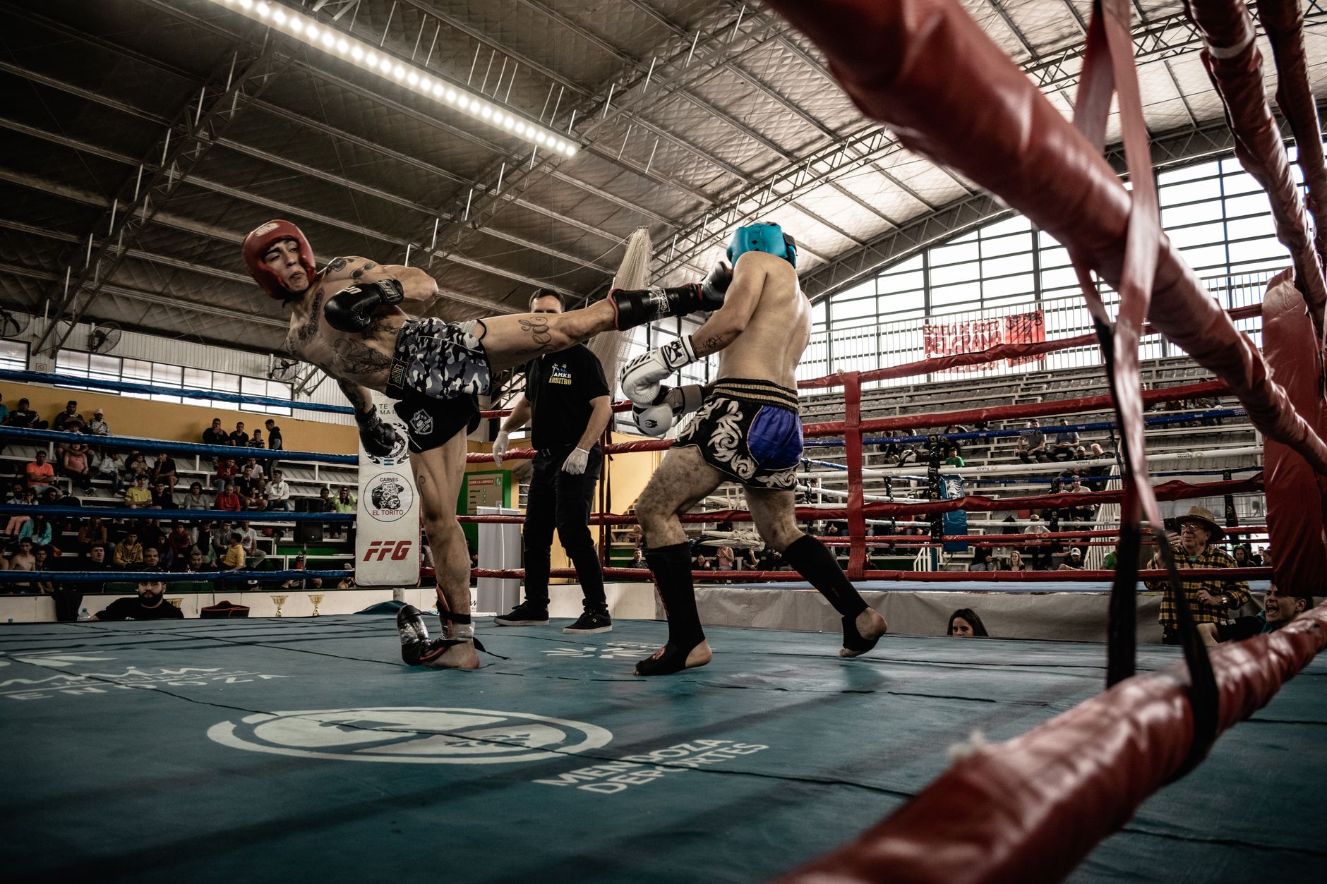 Twins ou Winning : quels gants pour Muay Thai et sparring