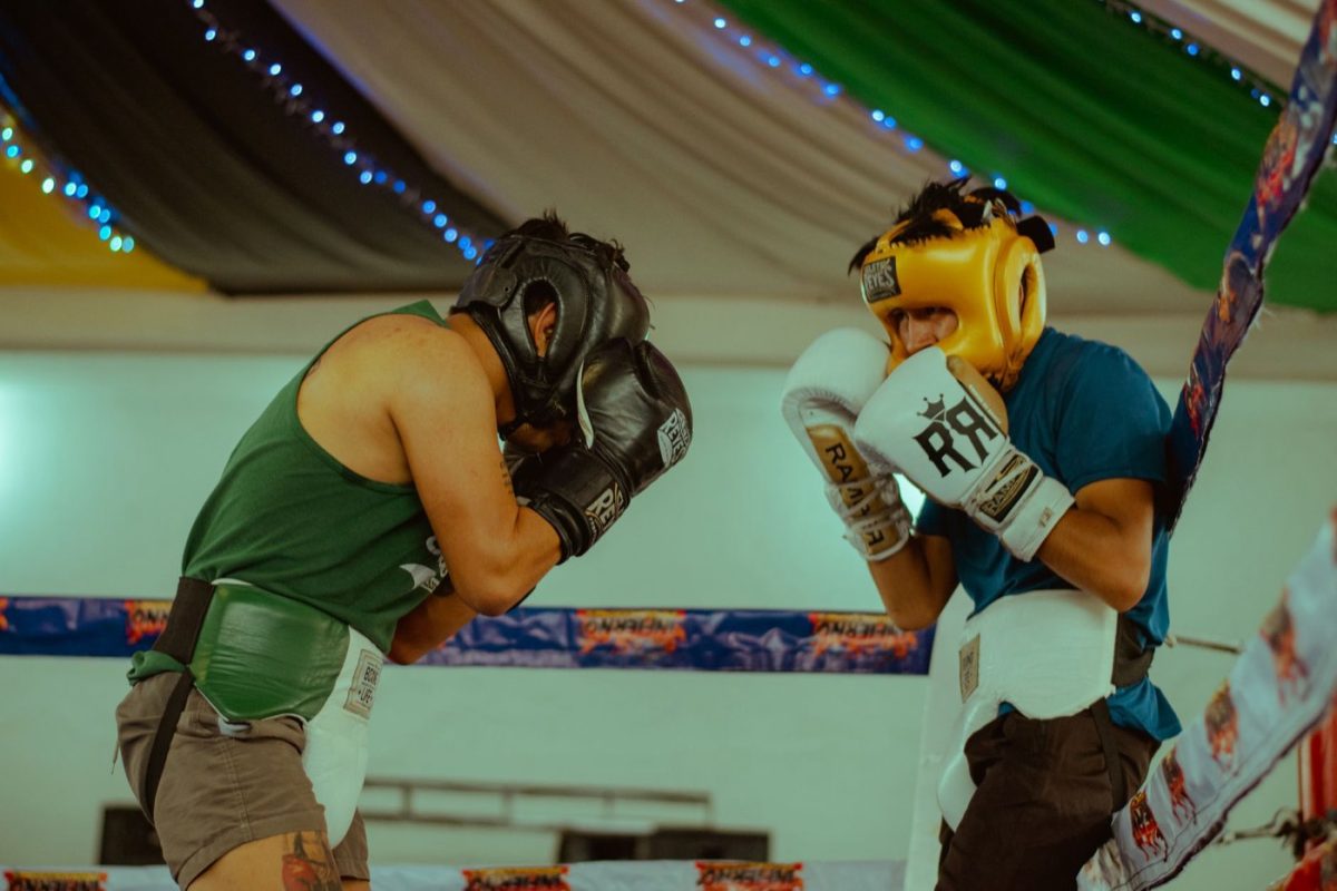 Twins ou Winning : quels gants pour Muay Thai et sparring