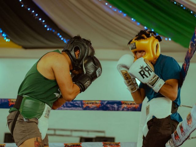 Twins ou Winning : quels gants pour Muay Thai et sparring